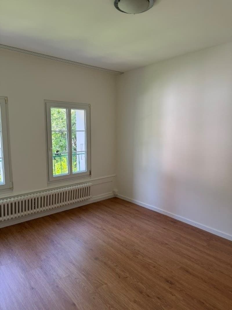 Schöne Wohnung in Zentrumsnähe von Luzern zu vermieten! (6)