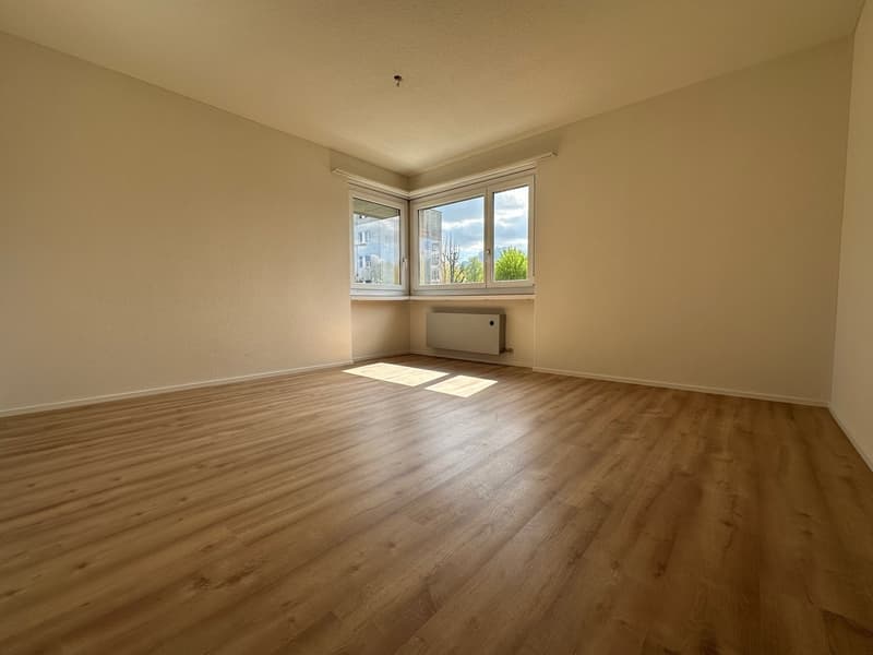 Vista panoramica da sogno - La tua nuova casa a Emmen (9)