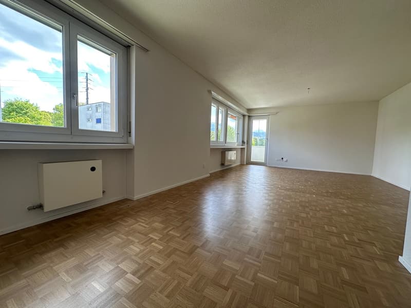 Vista panoramica da sogno - La tua nuova casa a Emmen (6)
