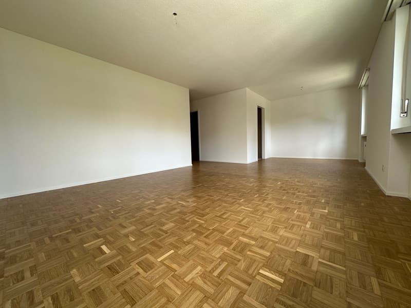 Vista panoramica da sogno - La tua nuova casa a Emmen (5)
