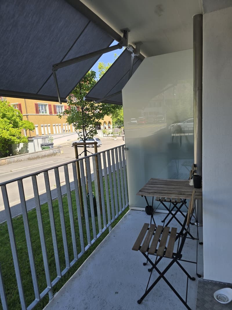 Bel appartement 3 pièces (7)