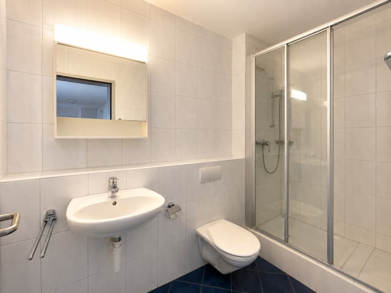 4.5-room apartment for rent in a green area near Olten (7)