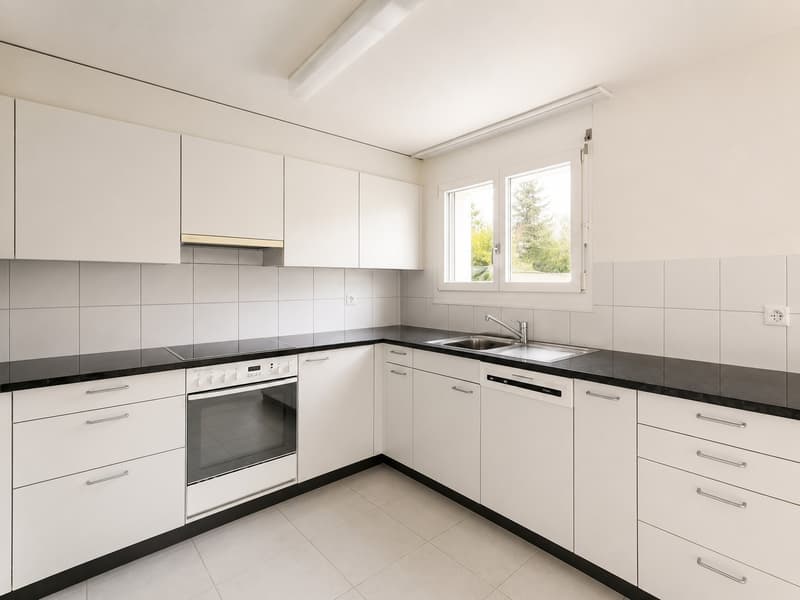 4.5-room apartment for rent in a green area near Olten (3)