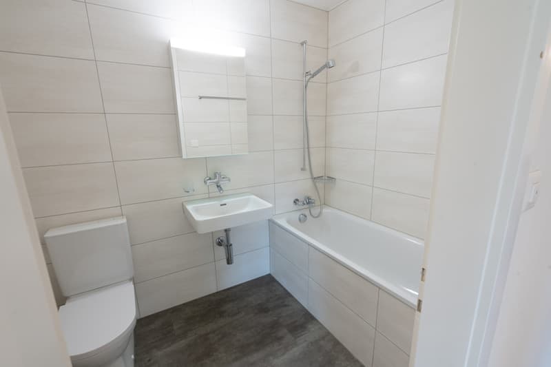 3 Zimmer-Wohnung, 6005 Luzern (6)