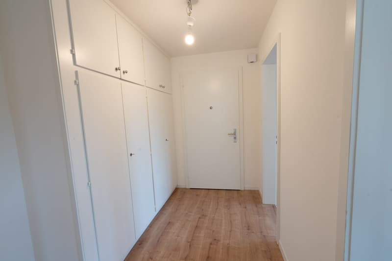 3 Zimmer-Wohnung, 6005 Luzern (7)