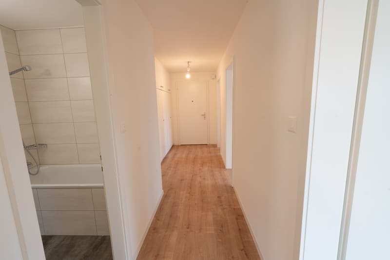 3 Zimmer-Wohnung, 6005 Luzern (8)
