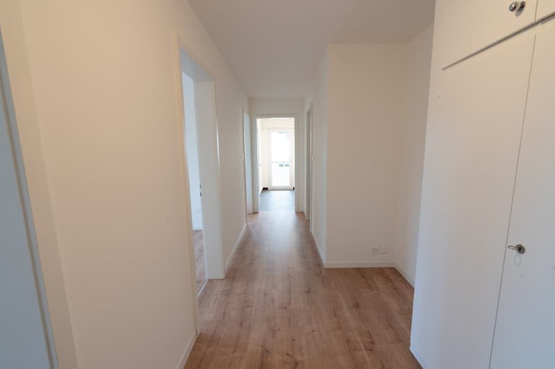 3 Zimmer-Wohnung, 6005 Luzern (5)