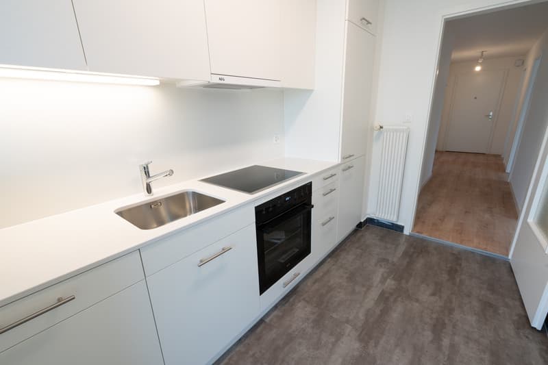 3 Zimmer-Wohnung, 6005 Luzern (2)