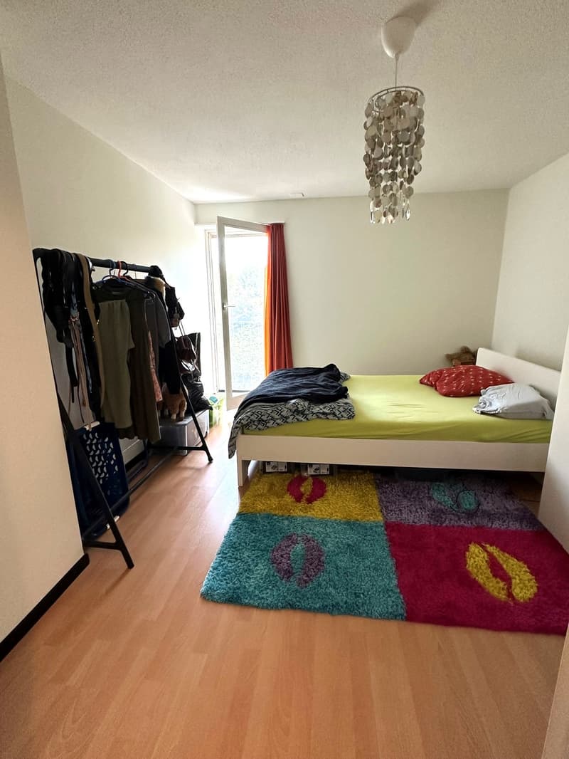 3 ½ - Zimmerwohnung mit Gartensitzplatz im Grünen (6)