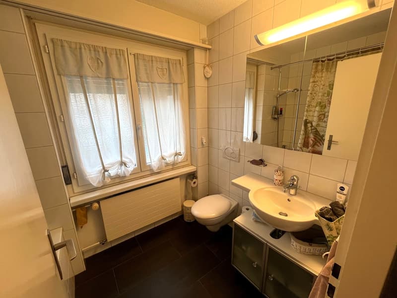 Grosszügige 3 ½-Zimmerwohnung in Buchrain (11)