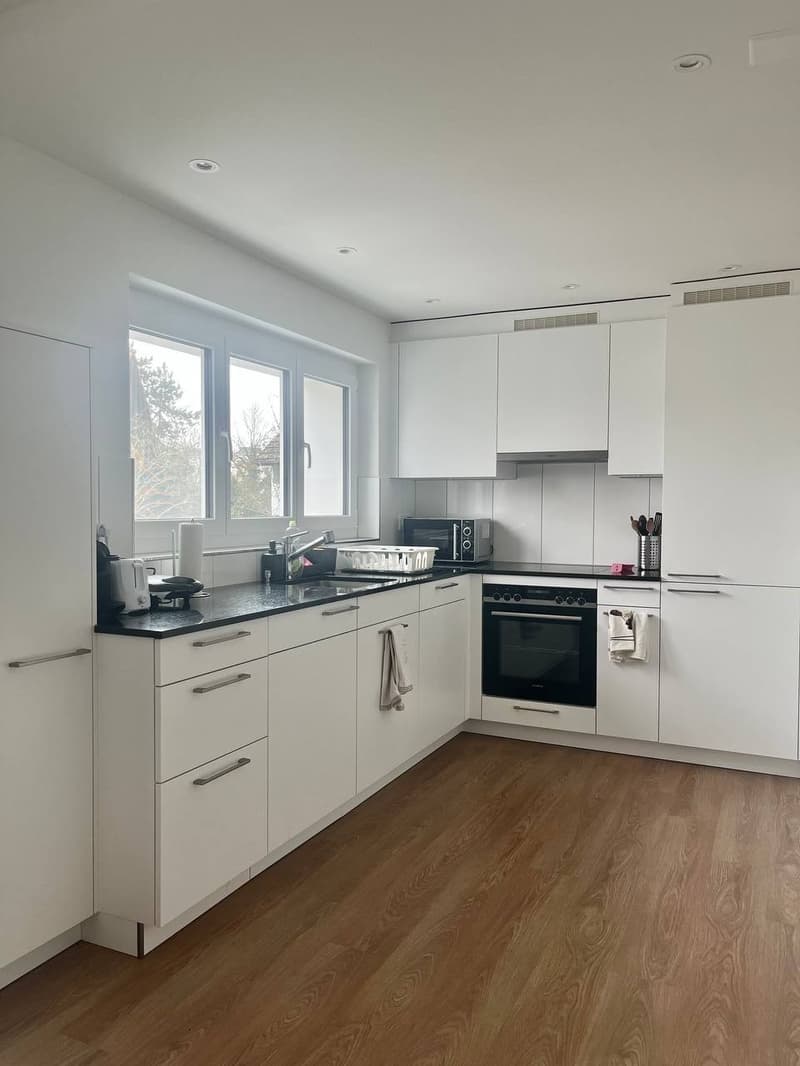 Schöne 3.5 Zimmerwohnung (2)