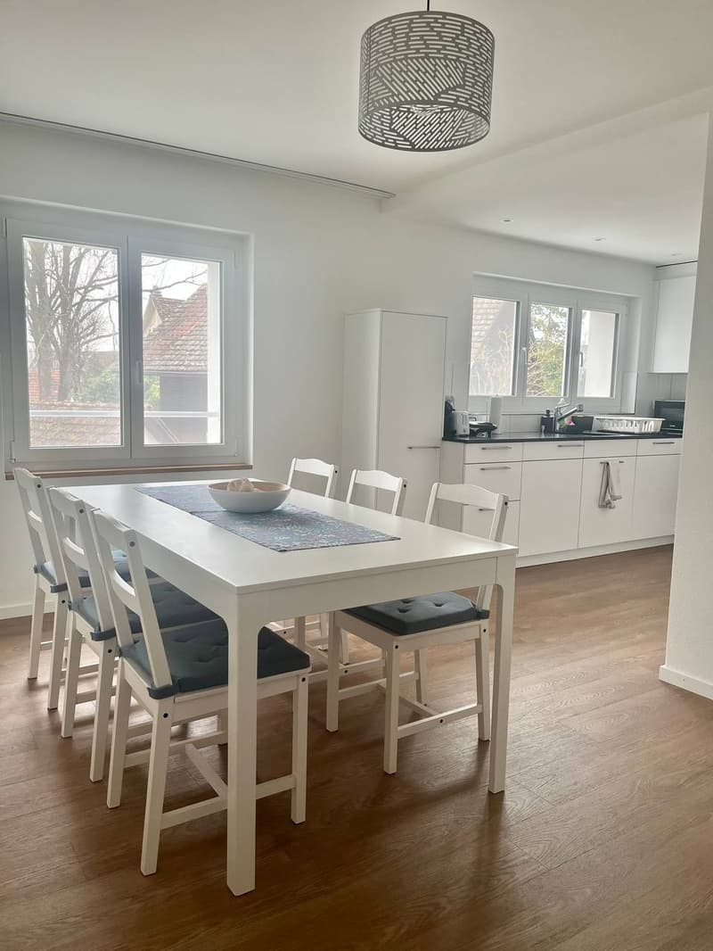 Schöne 3.5 Zimmerwohnung (1)