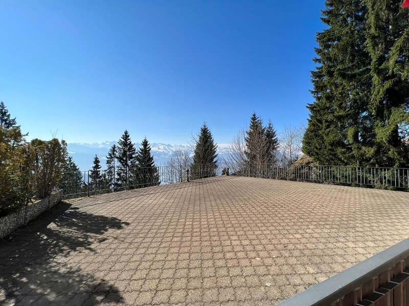 BERGWOHNUNG - Ferienwohnung auf Rigi-Kaltbad (1)