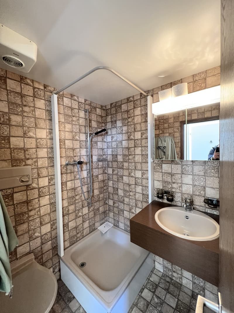 BERGWOHNUNG - Ferienwohnung auf Rigi-Kaltbad (7)