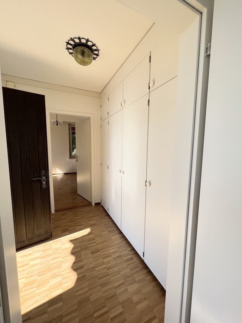 BERGWOHNUNG - Ferienwohnung auf Rigi-Kaltbad (6)