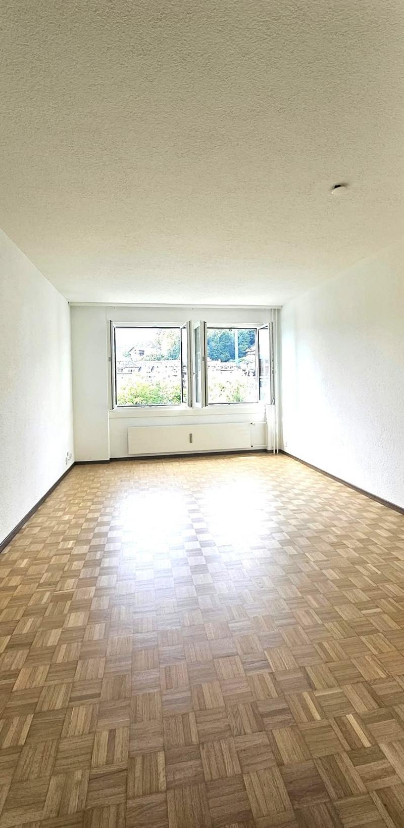 Wohnen in der schönen Stadt Luzern (7)
