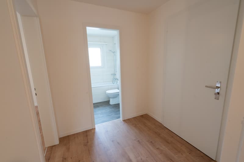 4-Zimmerwohnung (oberste Etage) im Hirtenhof-Quartier Luzern (3)