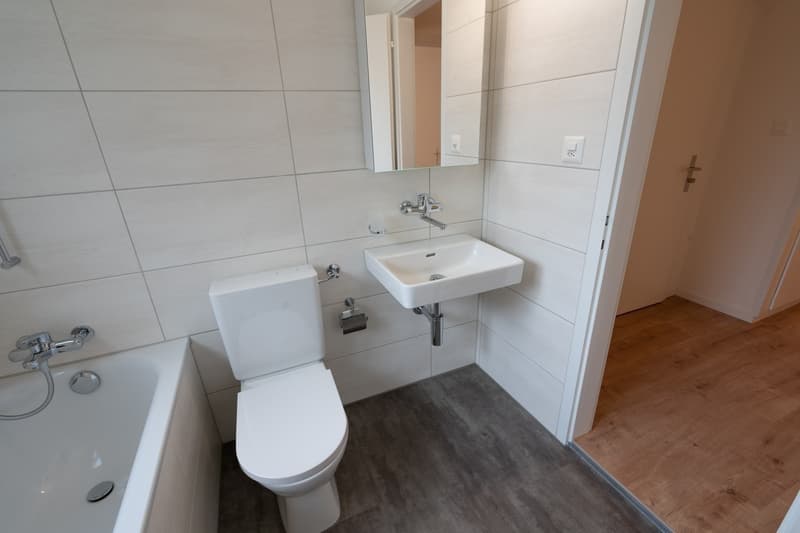 4-Zimmerwohnung (oberste Etage) im Hirtenhof-Quartier Luzern (13)
