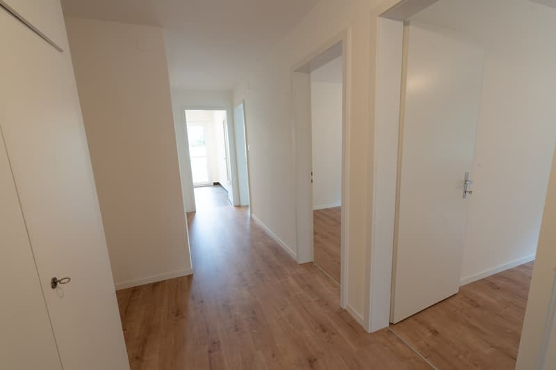 4-Zimmerwohnung (oberste Etage) im Hirtenhof-Quartier Luzern (4)