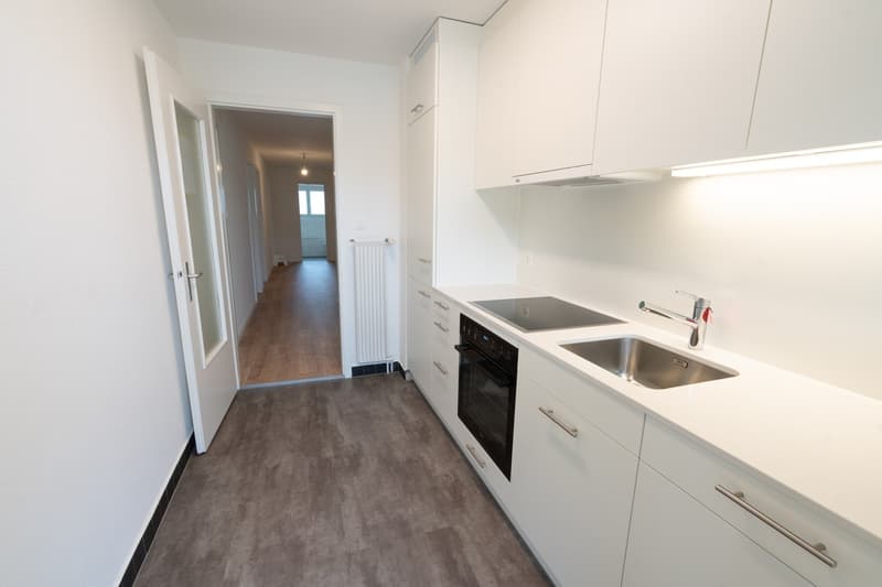 4-Zimmerwohnung (oberste Etage) im Hirtenhof-Quartier Luzern (2)