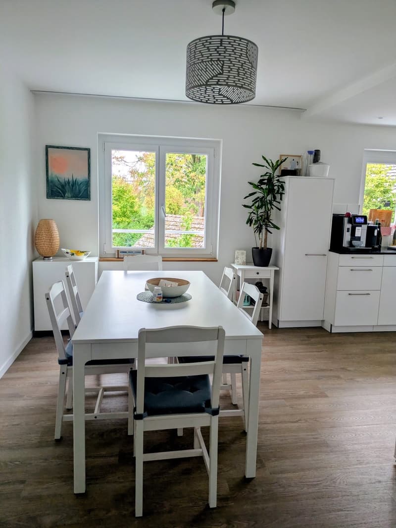 Schöne 3.5 Zimmerwohnung (2)