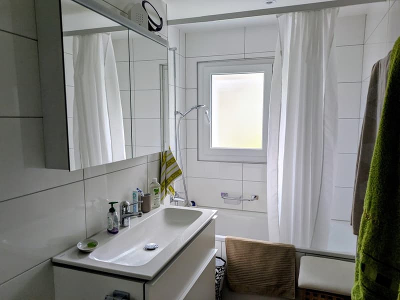 Schöne 3.5 Zimmerwohnung (11)