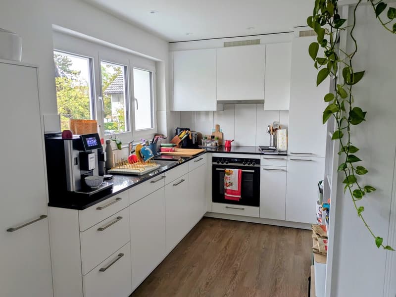 Schöne 3.5 Zimmerwohnung (1)