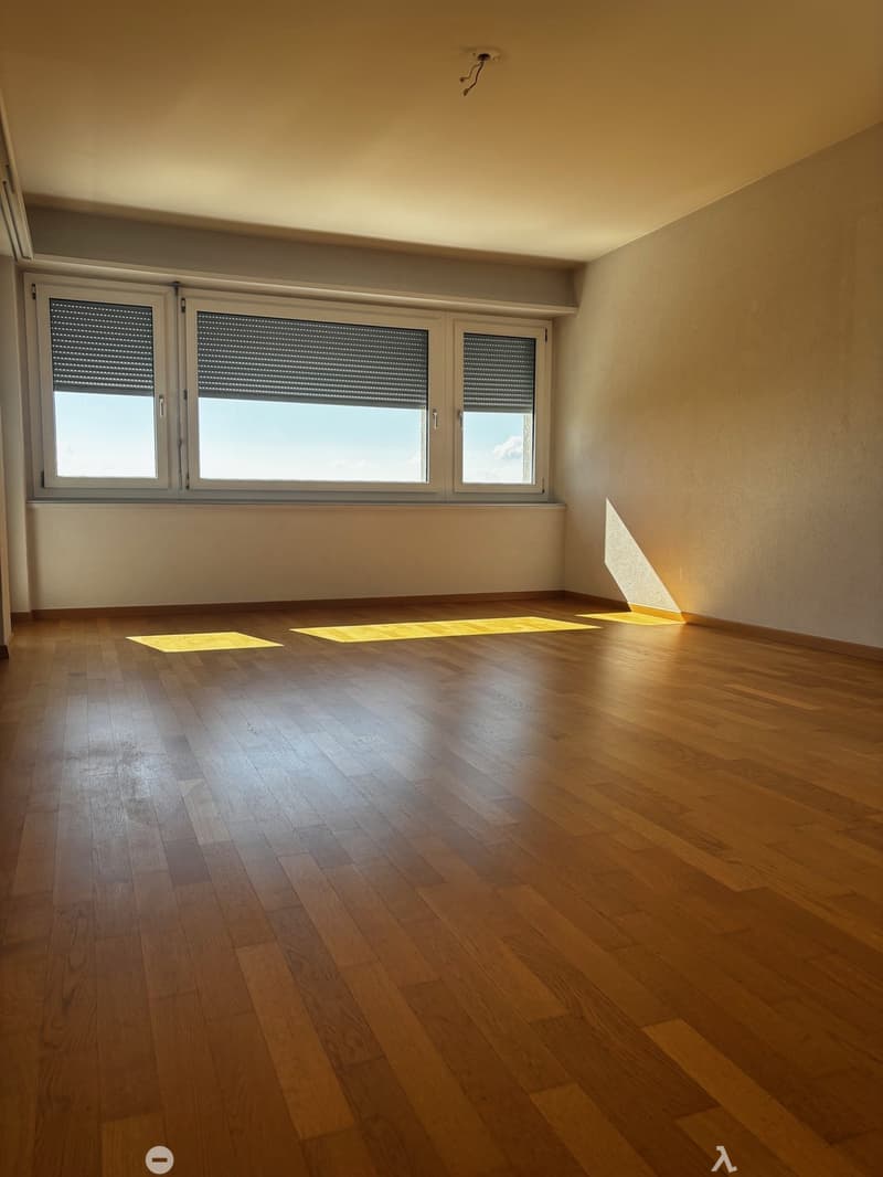 3.5-Zimmer-Attikawohnung mit Panoramablick in Biel (6)