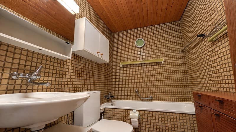 3.5 ZW mit Balkon zu vermieten (7)