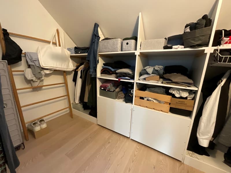 Wohnen am Zürichsee  ruhig, klar, verbunden (9)