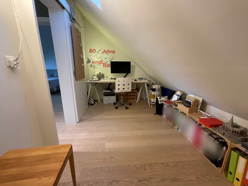 Wohnen am Zürichsee  ruhig, klar, verbunden (11)