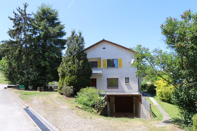 Objet de rénovation charmant dans un emplacement idyllique avec un grand jardin (3)