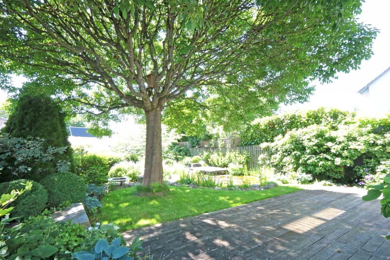 A House to Fall in Love With - Well-Maintained, High-Quality, and Family-Friendly (5)