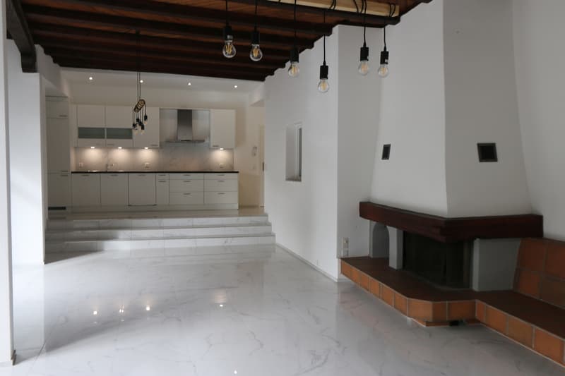2.5 Zi Loft im EG, eindrücklicher Wohnraum mit Cheminée