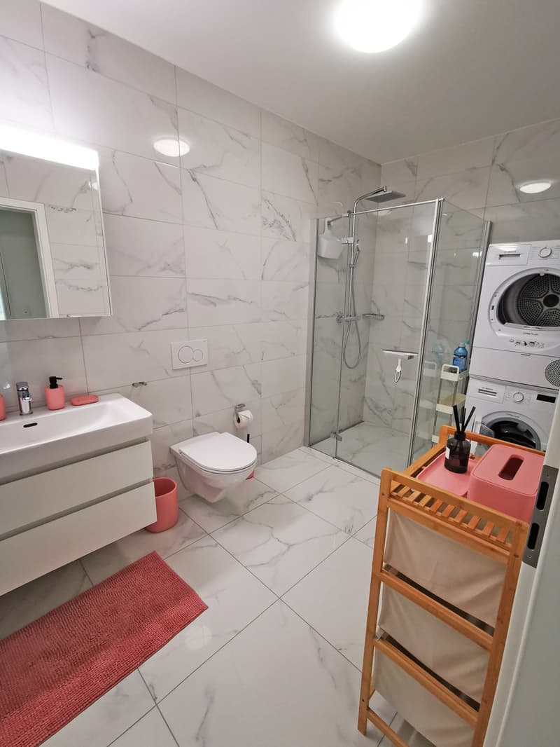 2.5 Zi. Wohnung im EG, modernes Bad mit Dusche, WC, Lavabo und eigenem Waschturm