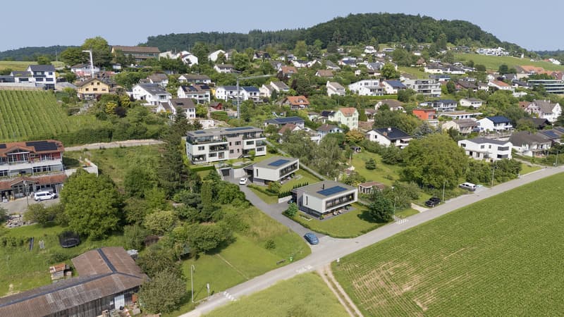 Sonnige Aussichten in Uhwiesen. (1)