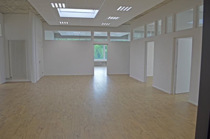 empty room, wooden floor, white walls, glass windows, skylights, radiator