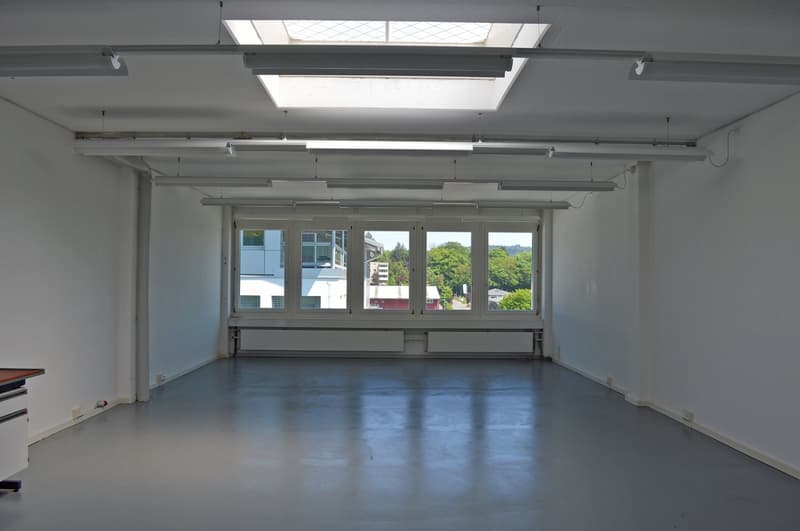 Attractive commercial space with plenty of natural light (3)