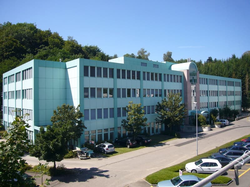 Attractive commercial space with plenty of natural light (1)