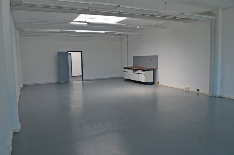 Attractive commercial space with plenty of natural light (4)