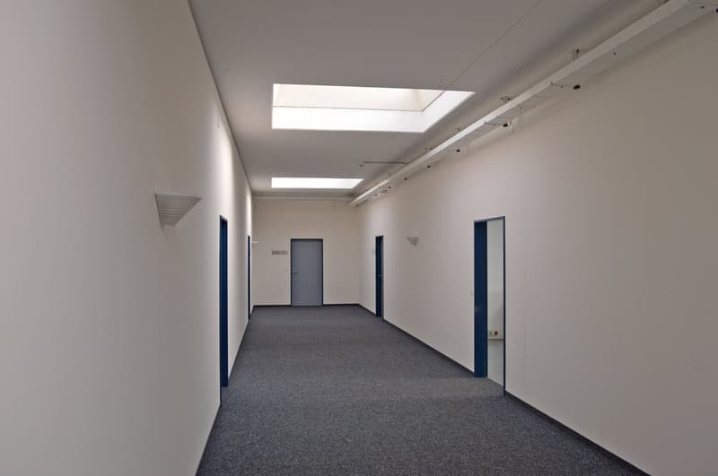 Attractive commercial space with plenty of natural light (2)