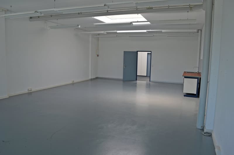 Attractive commercial space with plenty of natural light (5)