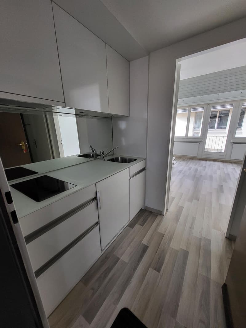 modern kitchen with wooden floors, stainless steel sink, two burners, cabinets