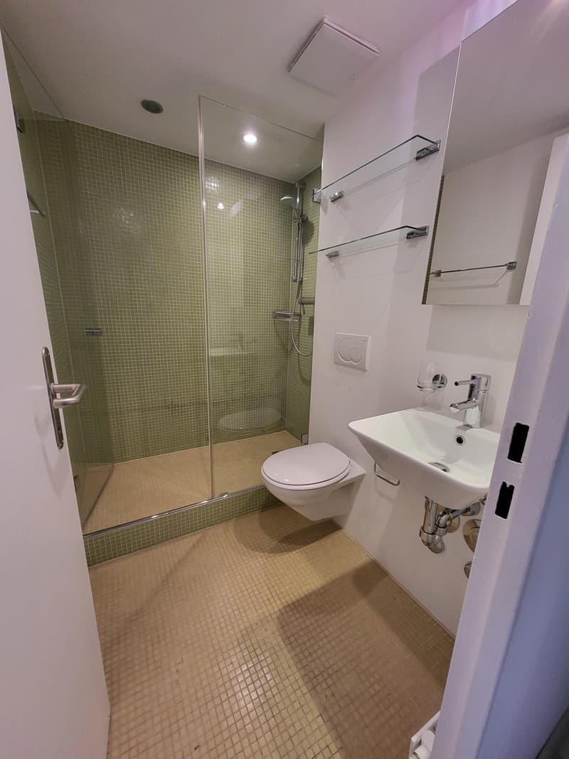 small bathroom, toilet, shower, sink, wall-mounted shelves, mirror