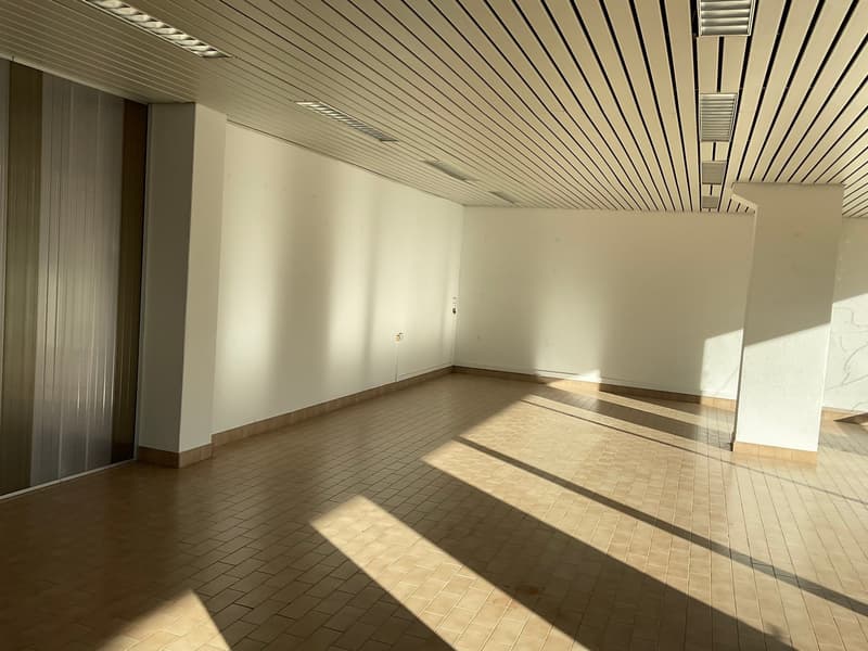 Commercial space with parking (11)