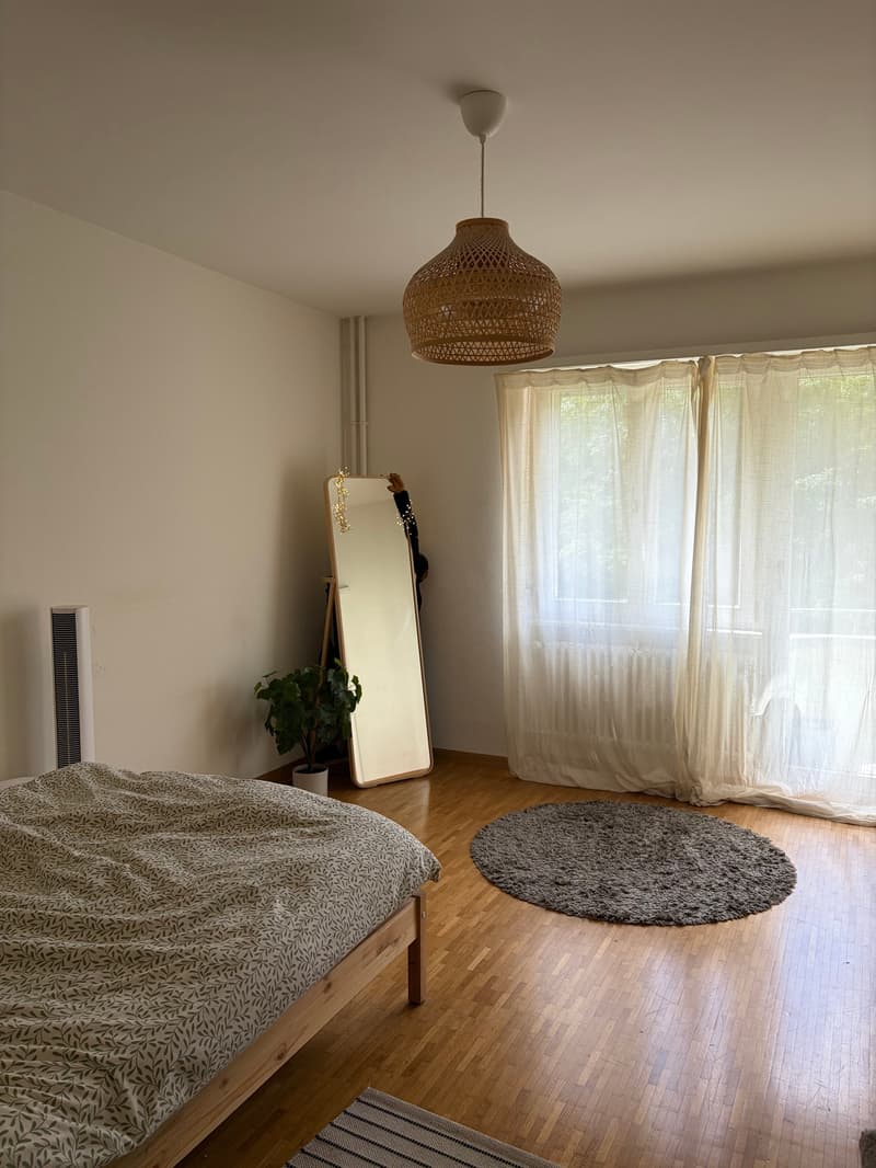 Appartamento di 3 camere nel centro di Zürich Oerlikon (3)