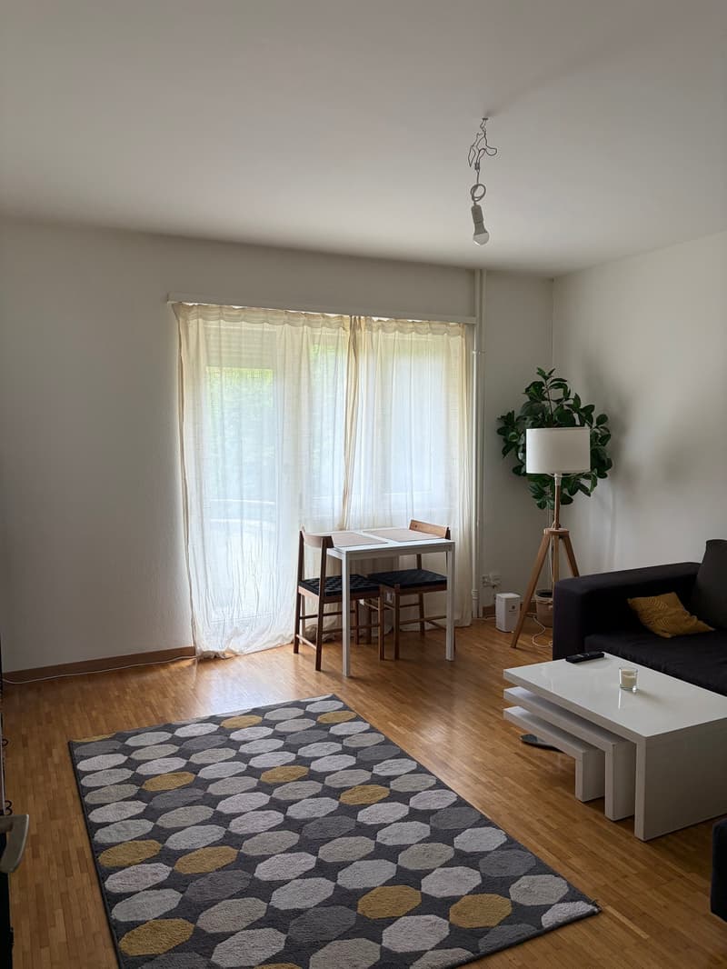 Appartamento di 3 camere nel centro di Zürich Oerlikon (5)