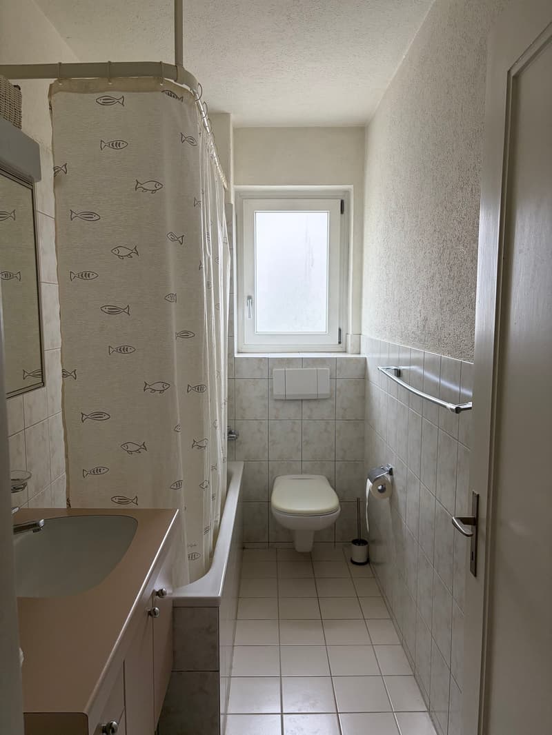 Appartamento di 3 camere nel centro di Zürich Oerlikon (8)