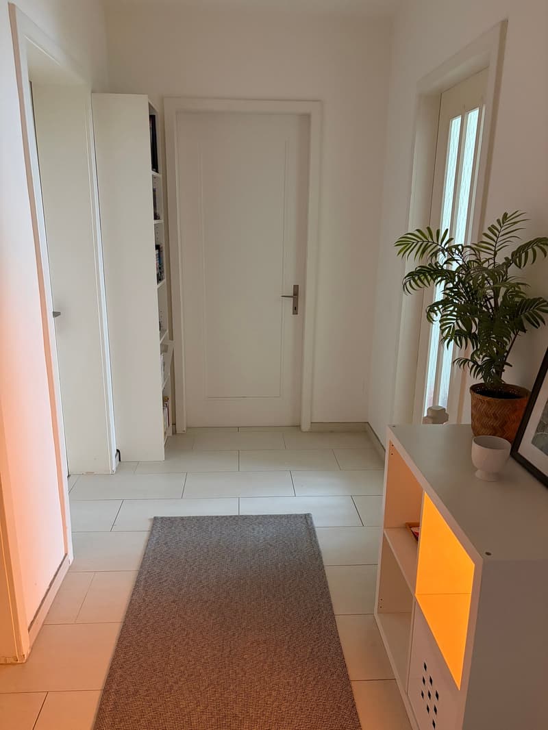 Appartamento di 3 camere nel centro di Zürich Oerlikon (7)