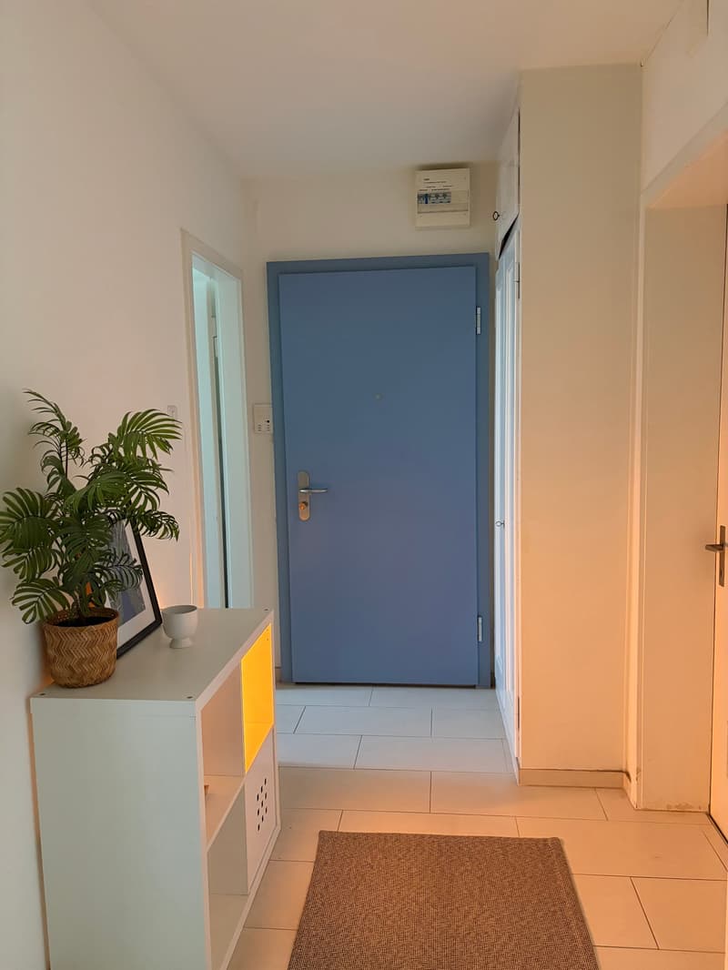 Appartamento di 3 camere nel centro di Zürich Oerlikon (6)